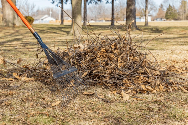 brush clearing in shreveport