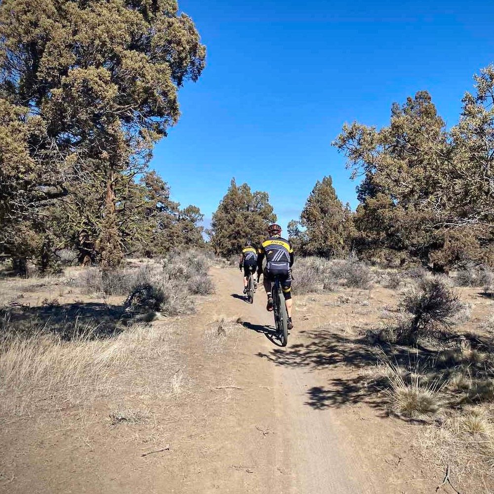 Freshly cleared wooded trail winding through rural property with open walking access